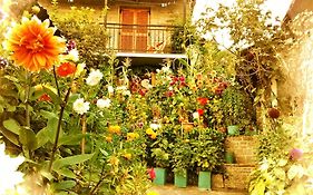 Guesthouse Gouris