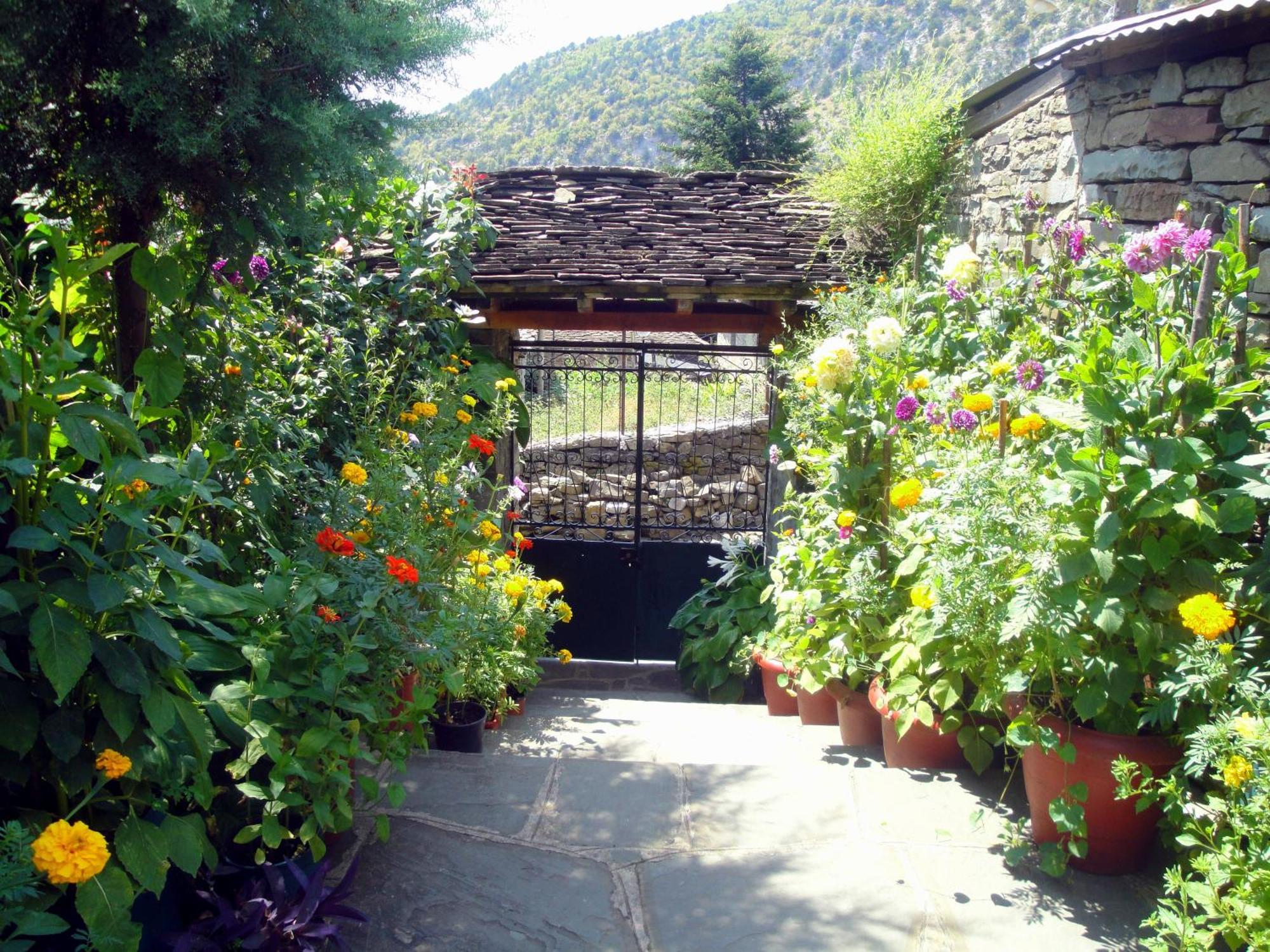 Guesthouse Gouris Tsepelovo Exterior foto