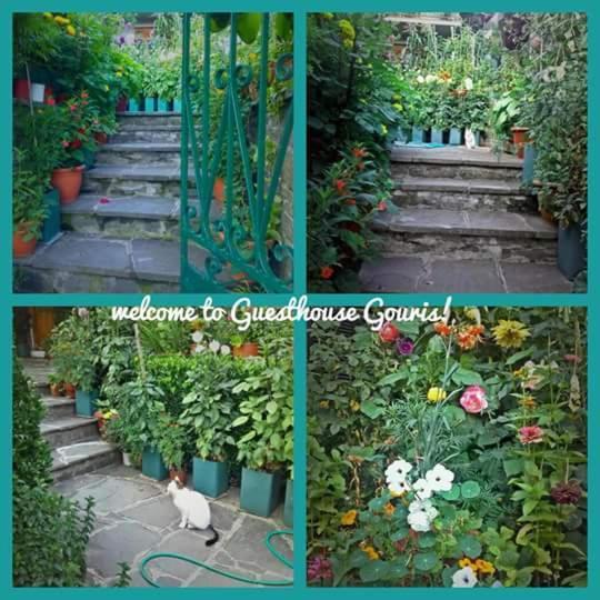 Guesthouse Gouris Tsepelovo Exterior foto